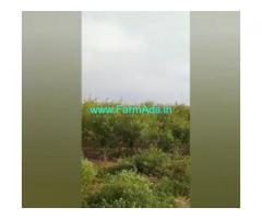 10 Acres  Agriculture Land  For Sale In Prakasham