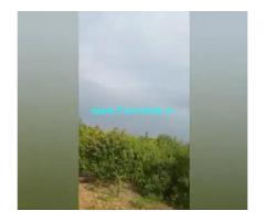 10 Acres  Agriculture Land  For Sale In Prakasham