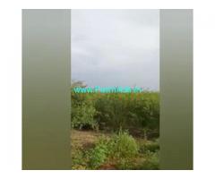 10 Acres  Agriculture Land  For Sale In Prakasham