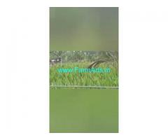 150 Acres Agriculture Land  For Sale In Kollegala 150 Acres Agriculture Land  For Sale In Kollegala
