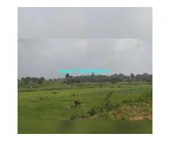 6 Acres Farm Land For Sale In Kanakapura