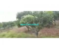 18 Acres Agriculture Land  For Sale In Warangal