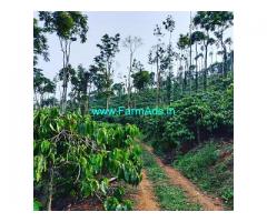 15 acre coffee estate for sale in Mudigere