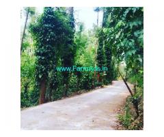 4 Acre coffee estate for sale in Chikkamagaluru