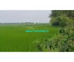 12 Acres Agriculture Land  For Sale In Honnali