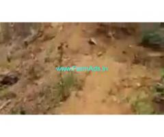 12 Acres Agriculture Land  For Sale In Honnali