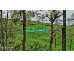 2850 acres of well maintained Tea Estate for sale in Ooty
