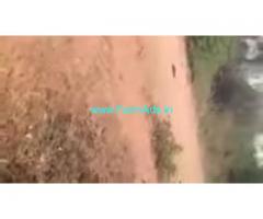 313 Acres Agriculture Land  For Sale In Kanigiri