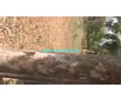 313 Acres Agriculture Land  For Sale In Kanigiri