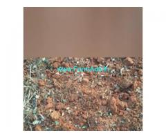 8.5 Acres Agriculture Land  For Sale In Nidigallu