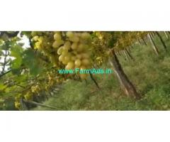 3 Acres Agriculture Land  For Sale In Anantapur