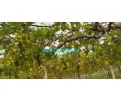 3 Acres Agriculture Land  For Sale In Anantapur