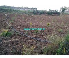 2.5 Acre Agriculture land for sale in Chikkamagaluru Hiremagluru road