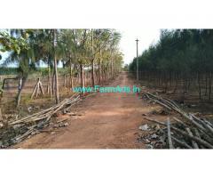 50 Acres Agriculture land Sale at Thanjavur