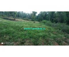 4 Acres Agri land for sale in Chikkamagaluru