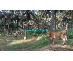 2.07 Acre Coconut Agriculture farm land for Sale at Samathur west