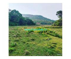 5 Acre agriculture land for sale in Mudigere