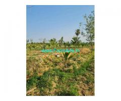 Well developed 3 acres land for sale at Nellahlli village