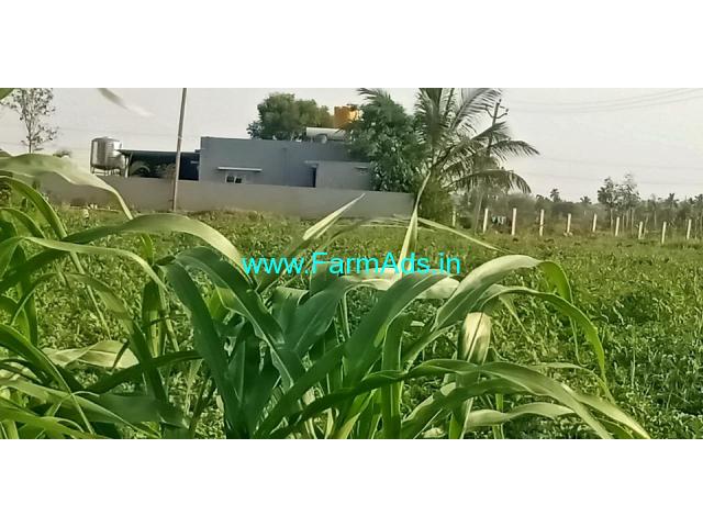 10 Acres Farm land for sale near Bagepalli 10 Acres Farm land for sale near Bagepalli