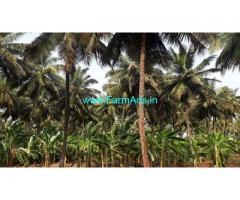 2 Acres Farm Land for Sale Pollachi to Kovai main road
