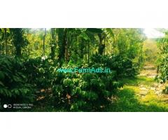 4 Acres coffee estate for sale on Aldur Balehonnur Road