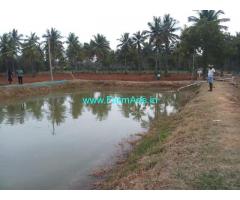 45 acres  farm land is for sale at Kabbahalli near Nanjangud 45 acres  farm land is for sale at Kabbahalli near Nanjangud