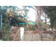 1.17 Acres Farmhouse For Sale In Mysore