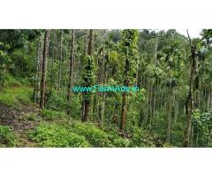 22 Acre Arabica Coffee Estate with Farm house sale in Mudigere
