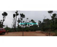 4 Acre Coffee estate with home stay for sale in Sakleshpur