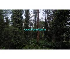 4 Acres well maintained Coffee estate for sale near Chikmagalur