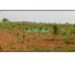 10 Acres Arecanut with Banana Plantation for Sale near Sagara