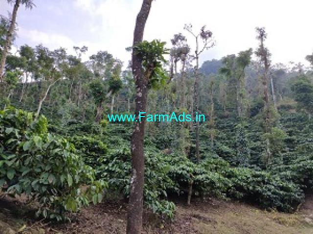 106 Acre well maintained coffee estate sale in Sakleshpur 106 Acre well maintained coffee estate sale in Sakleshpur