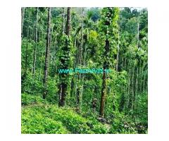 22 Acre Coffee Plantation Land For Sale Chikmaglur