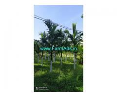 50 acre areca nut Plantation for sale in Chikkamagaluru