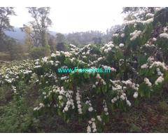 400 acre Coffee estate for sale in Chikkamagaluru