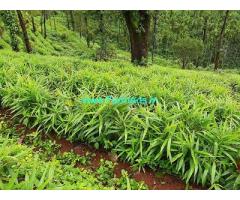 400 acre Coffee estate for sale in Chikkamagaluru