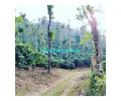 100 Acre Coffee Estate For Sale in Sakleshpur