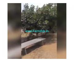 33 Acres Agriculture Land For Sale In Nagarakurnool