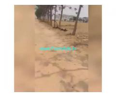 33 Acres Agriculture Land For Sale In Nagarakurnool