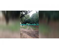 40 Acres Agriculture Land For Sale In Tirupathi
