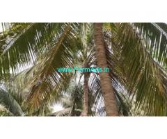 20 Acres Farm Land For Sale In Onambakkam
