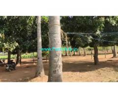 8 Acres Agriculture Land For sale in Arcadu