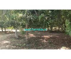 93 Cents Farm Land For Sale In Panaiyur(ECR)