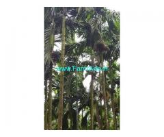 50 Acres Farm Land For Sale In Chikkamagluru