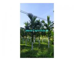 50 Acres Farm Land For Sale In Chikkamagluru