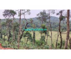 3.5 Acres Agriculture Land For Sale In Mudigere