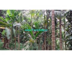 3.5 Acres Agriculture Land For Sale In Mudigere