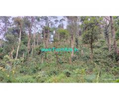 3.5 Acres Agriculture Land For Sale In Mudigere