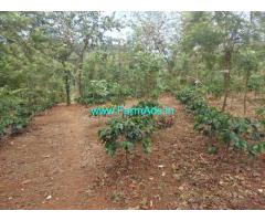 50 Acres Farm Land For Sale In Sakleshpura