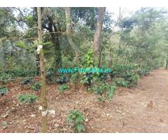 50 Acres Farm Land For Sale In Sakleshpura